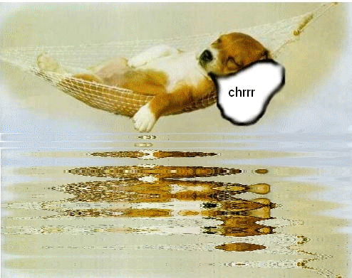 havinko1.gif